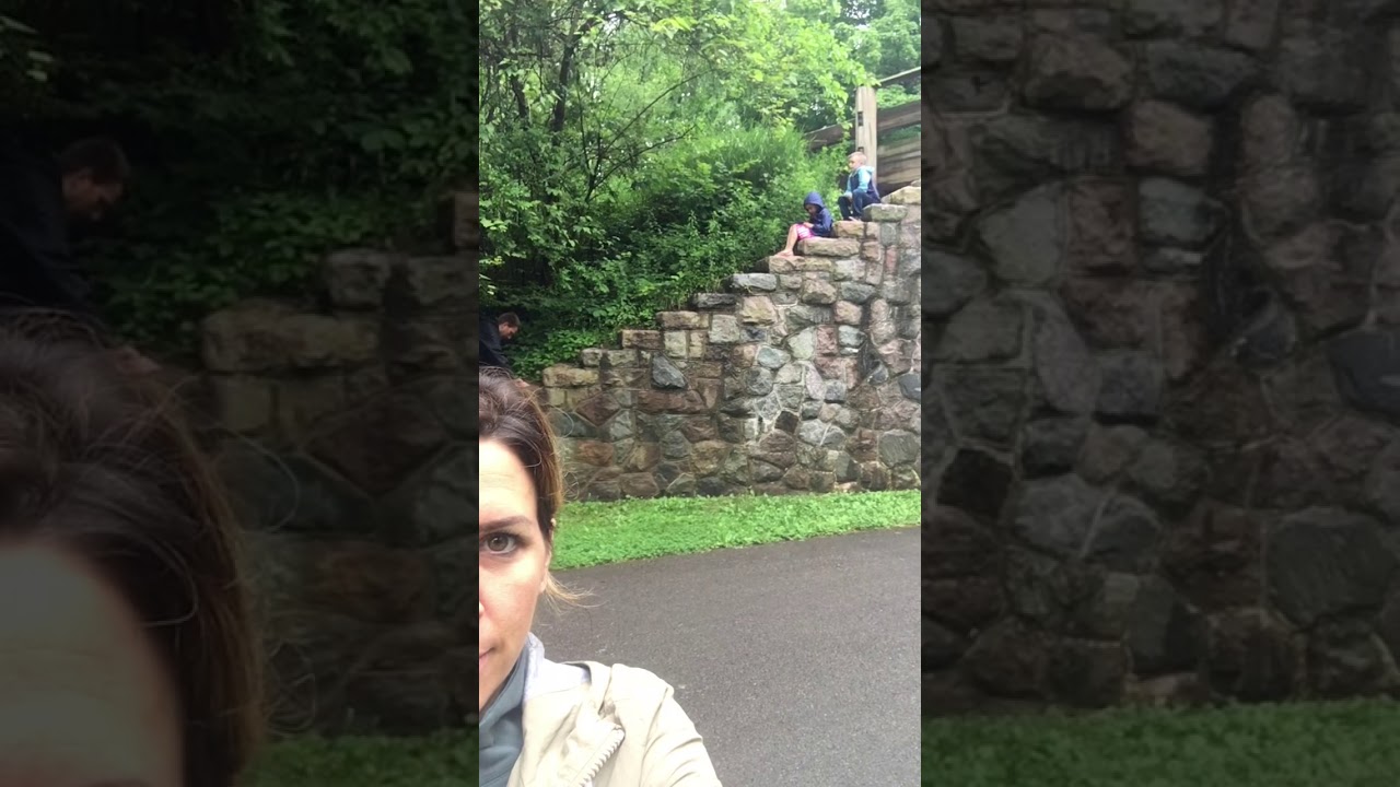Humans in their natural habitat!