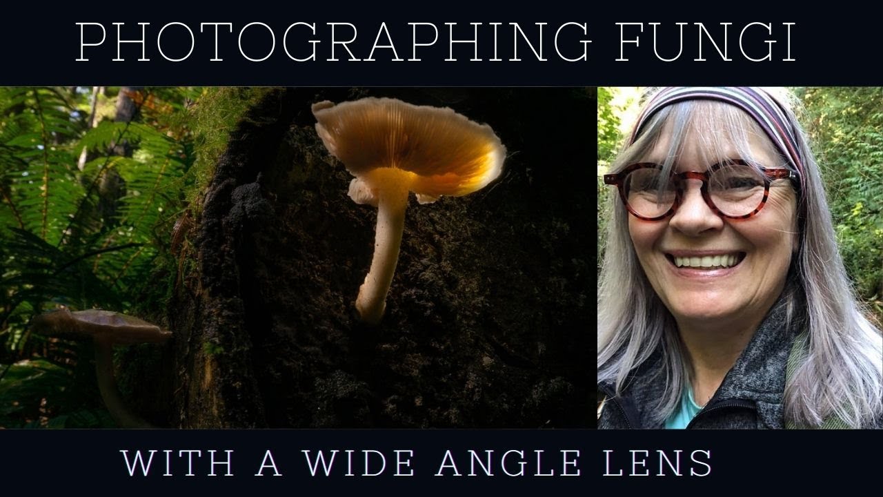 How to Photograph Fantastic Fungi, Using A Wide Angle Lens and A Headlamp!
