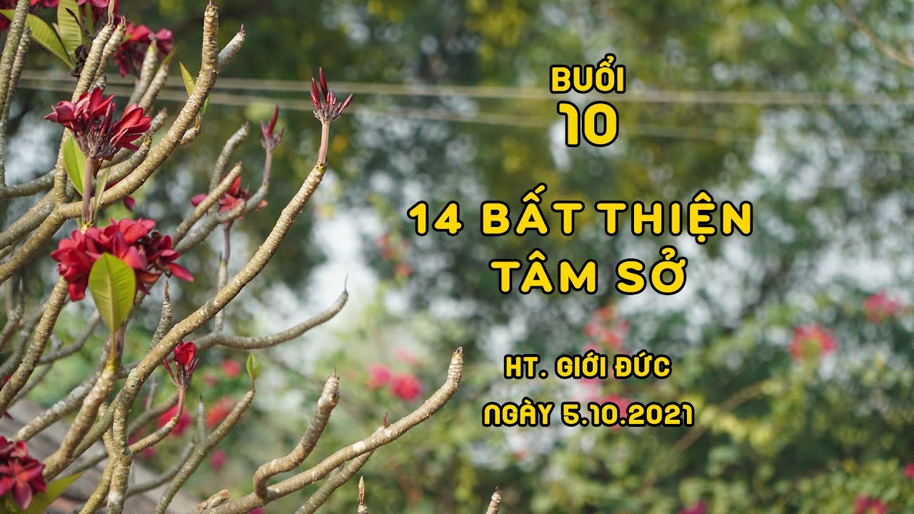 Abhidhamma (Buổi 10): 14 Bất Thiện Tâm Sở | HT. Giới Đức | Ngày 05/10/2021