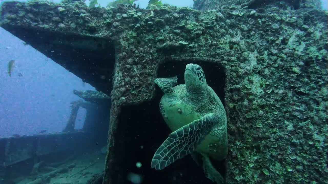 Hawai - Wreck Diving