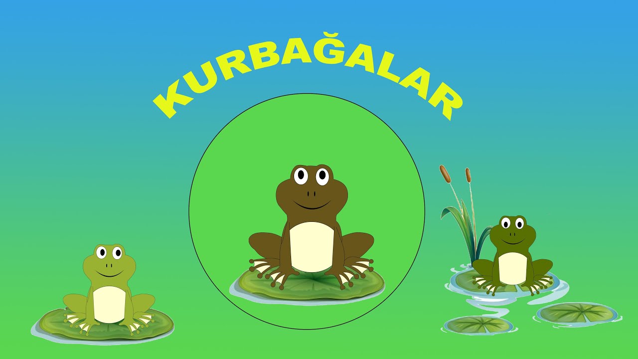 Kurbağalar