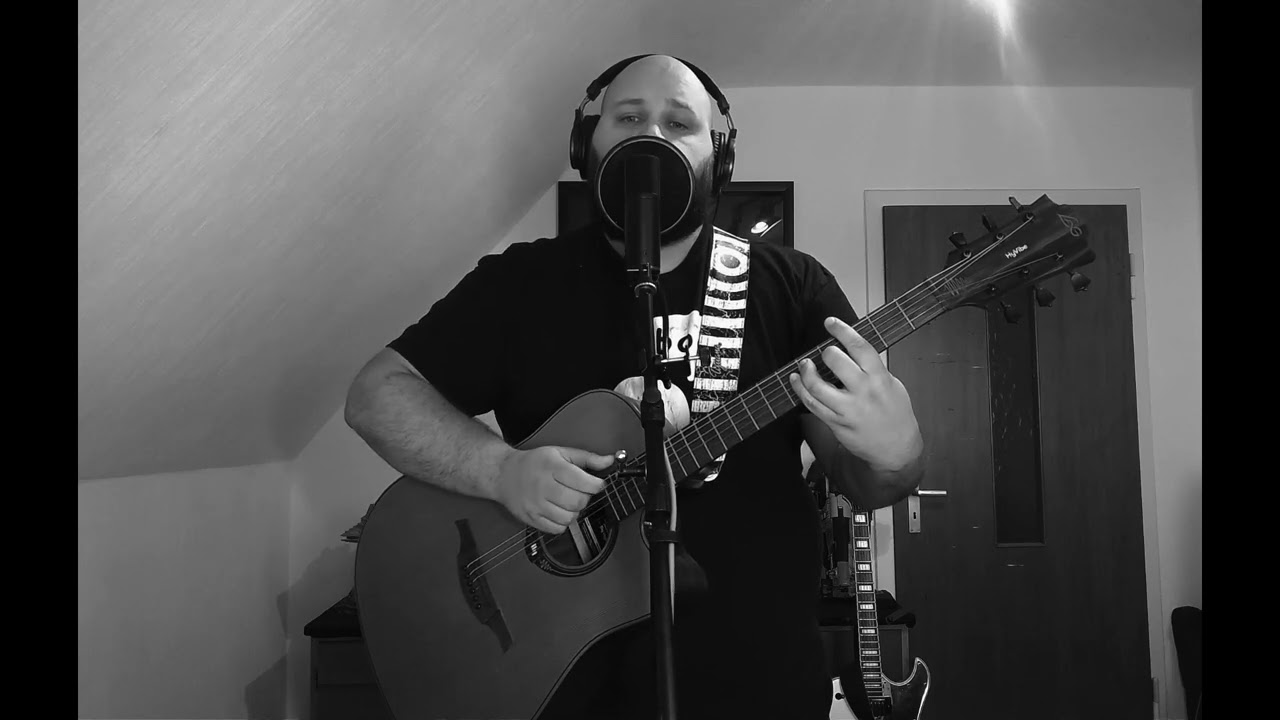 Rammstein - Ohne Dich (acoustic cover)
