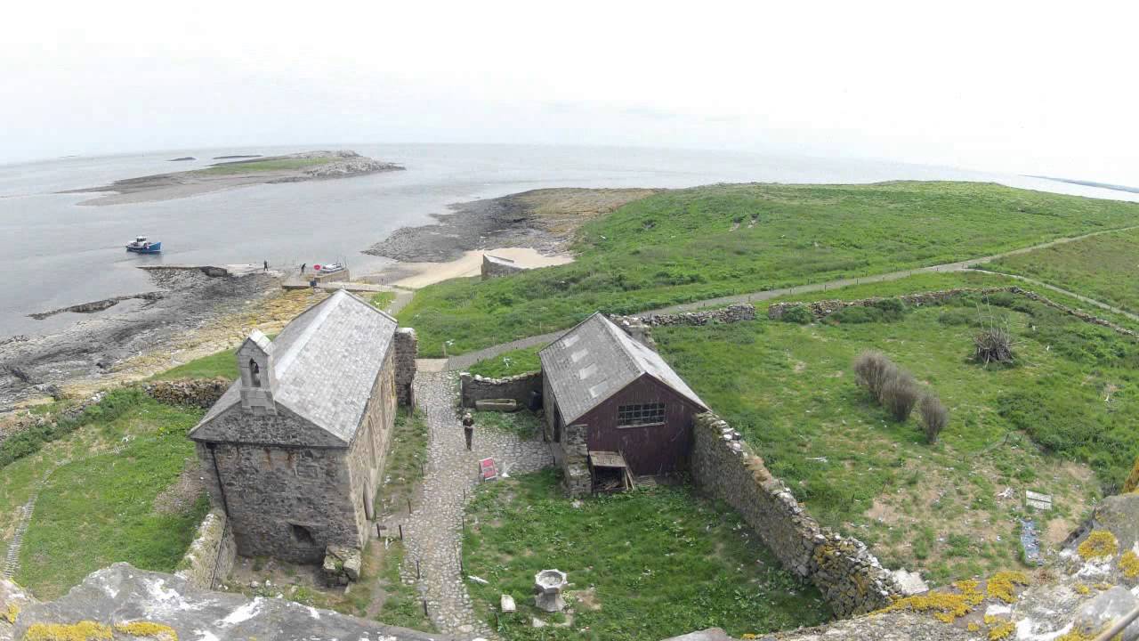 Inner Farne 9/6/13