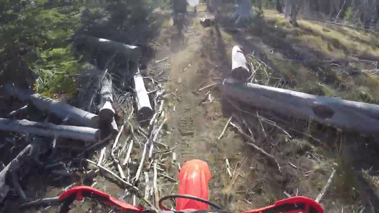Riding single track