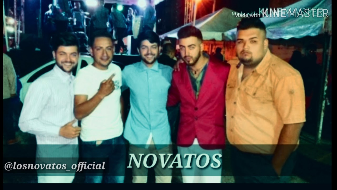 LOS NOVATOS - PINGÜINOS EN LA CAMA