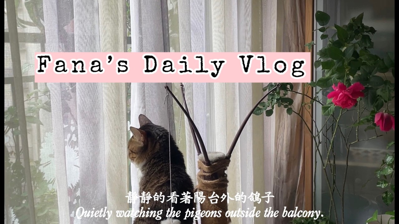 一個人的日常| 安靜生活| 看完電影陽光女子合唱團後的自我反思A Quiet Day Alone|Self-reflection after watching Sunshine Women Choir