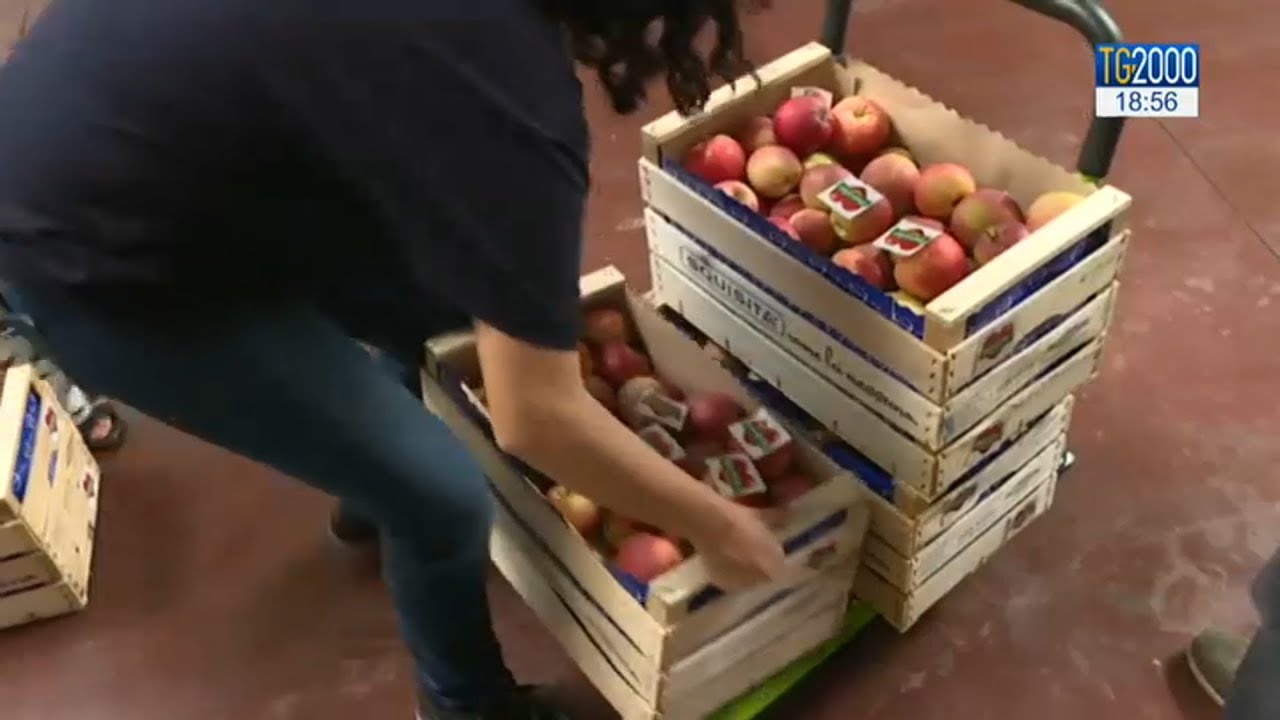Roma: produttori regalano 1000 kg frutta e verdura ai bisognosi