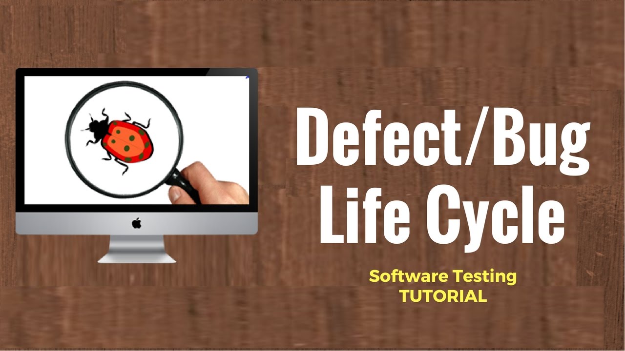Defect/Bug Life Cycle: Software Testing Tutorial 23