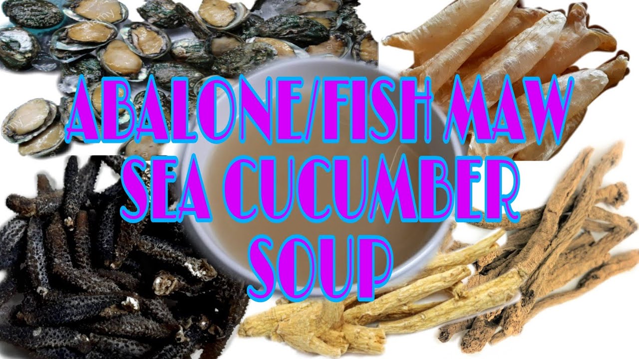 ABALONE FISH  MAW and SEA CUCUMBER SOUP