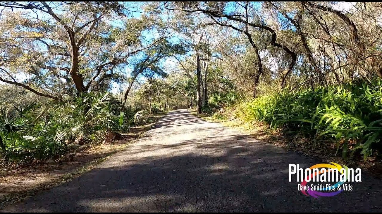 Ride From Oldsmar Trail To Lower Upper Tampa Bay Trail
