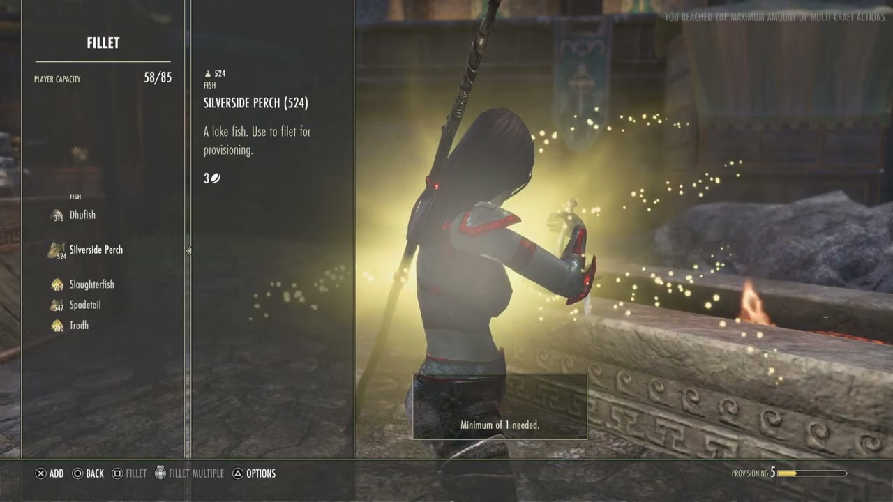 [ESO] Filleting Every Fish Caught at Once for the Master Angler Achievement