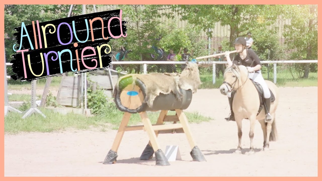 🐴 Allround-Turnier mit den Norwegern (Power-Trail) // Blondis auf Fjordis 😊