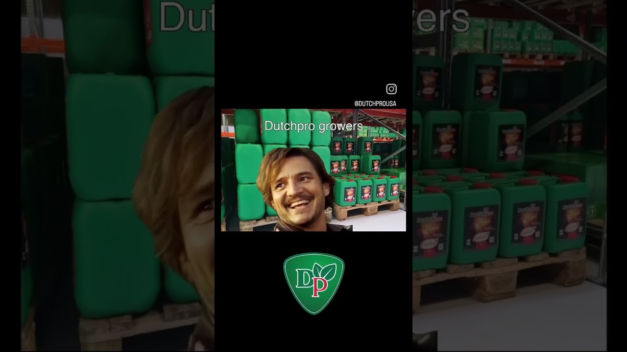 It&acute;s just that easy with Dutchpro #Dutchpro