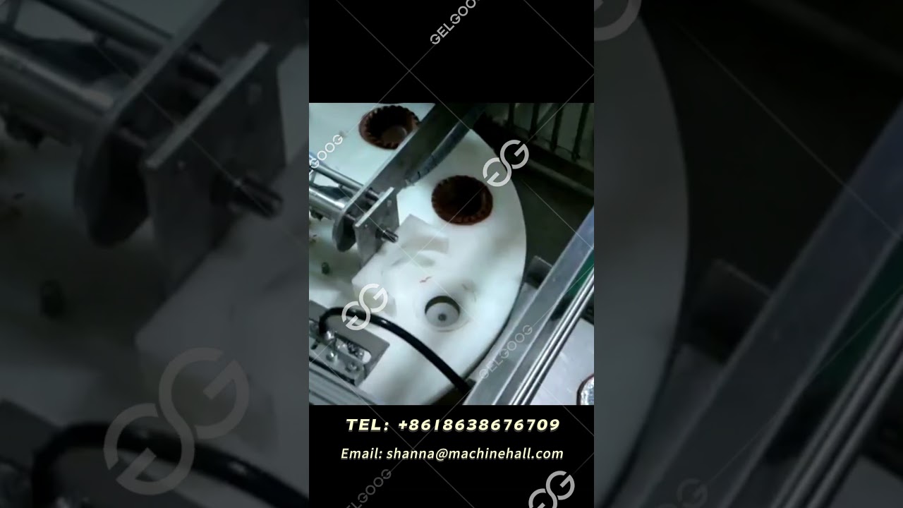 Model 303 2 Fully Automatic Egg Tart Machine