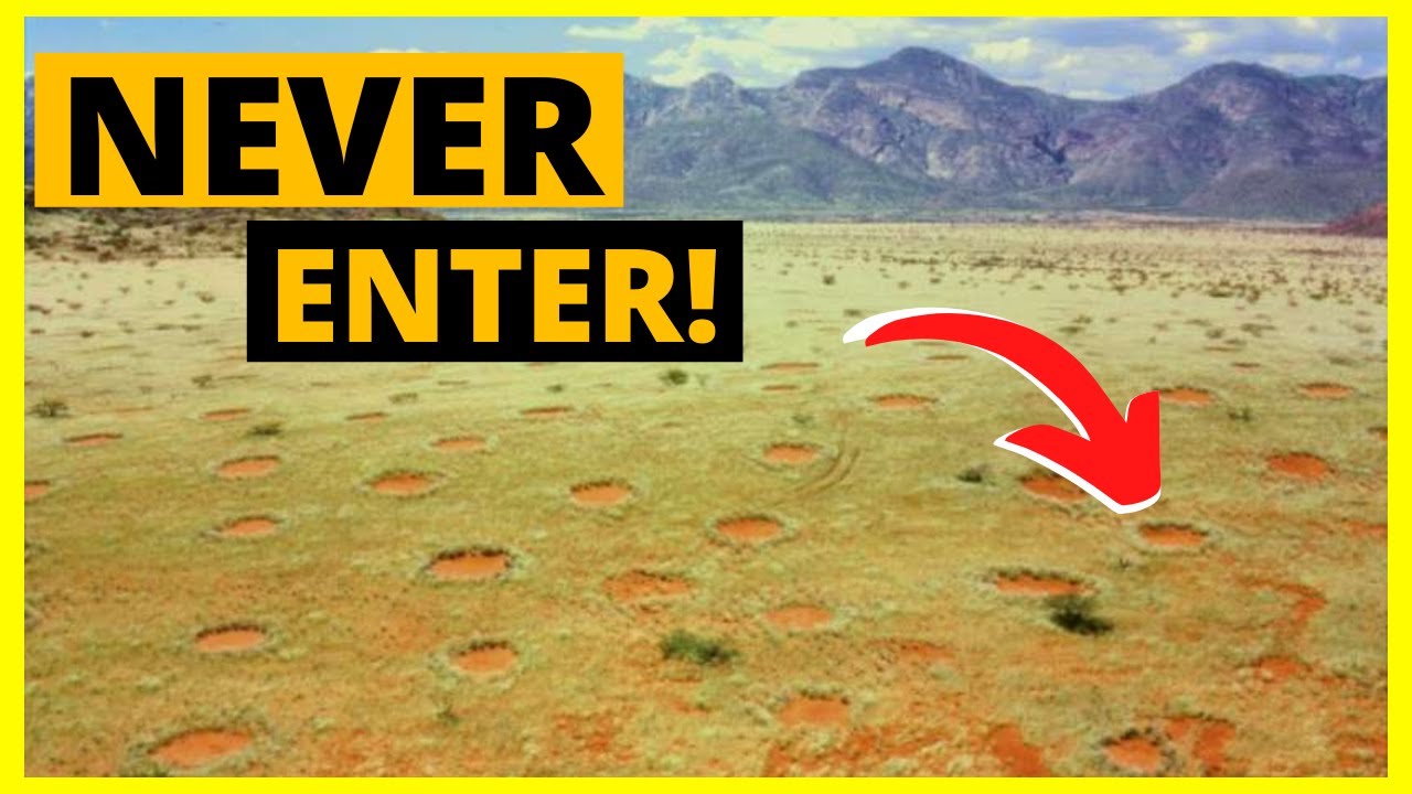 How the Scientists solved the mystery of Namibia Fairy Circles | Namib Desert Mystery in HINDI