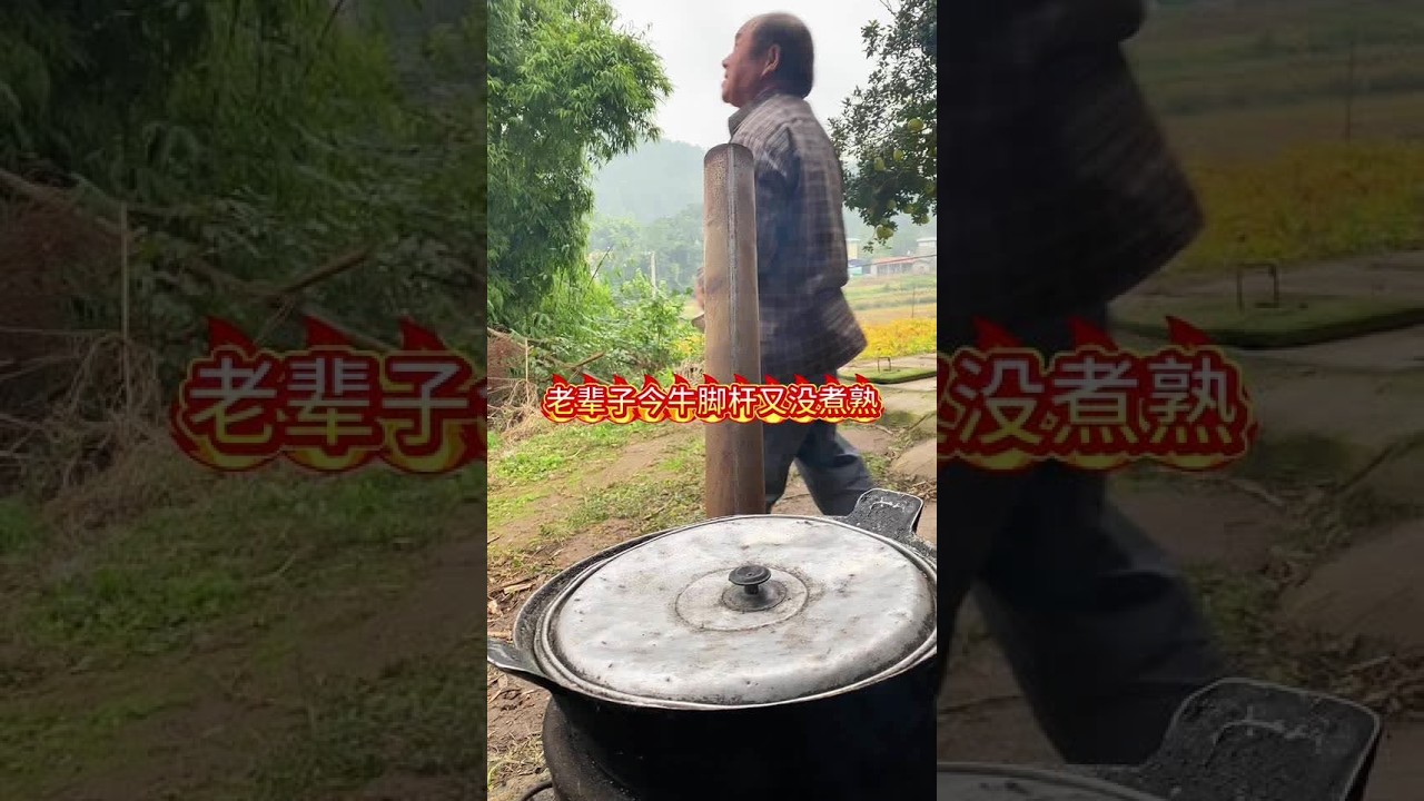 #农村美食记录生活 #乡下柴火饭 老辈子今天牛脚杆又煮不耙 #伙伴计划官方申请入口 #创造者扶持计划 @美的清洁电器旗舰店 #美的洗地机征集隐身管家