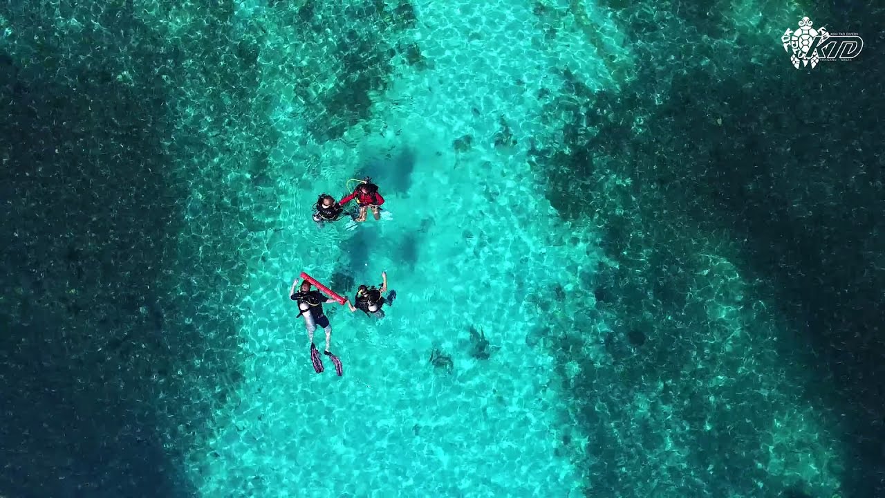 Koh Tao Divers - Thailand