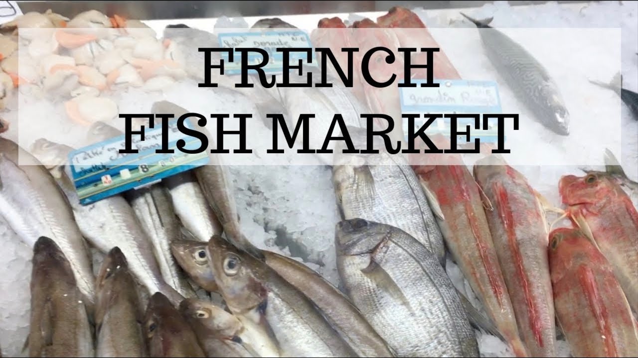 🇫🇷 FRENCH FISH MARKET  - LOBSTERS CRABS SCALLOPS OYSTERS
