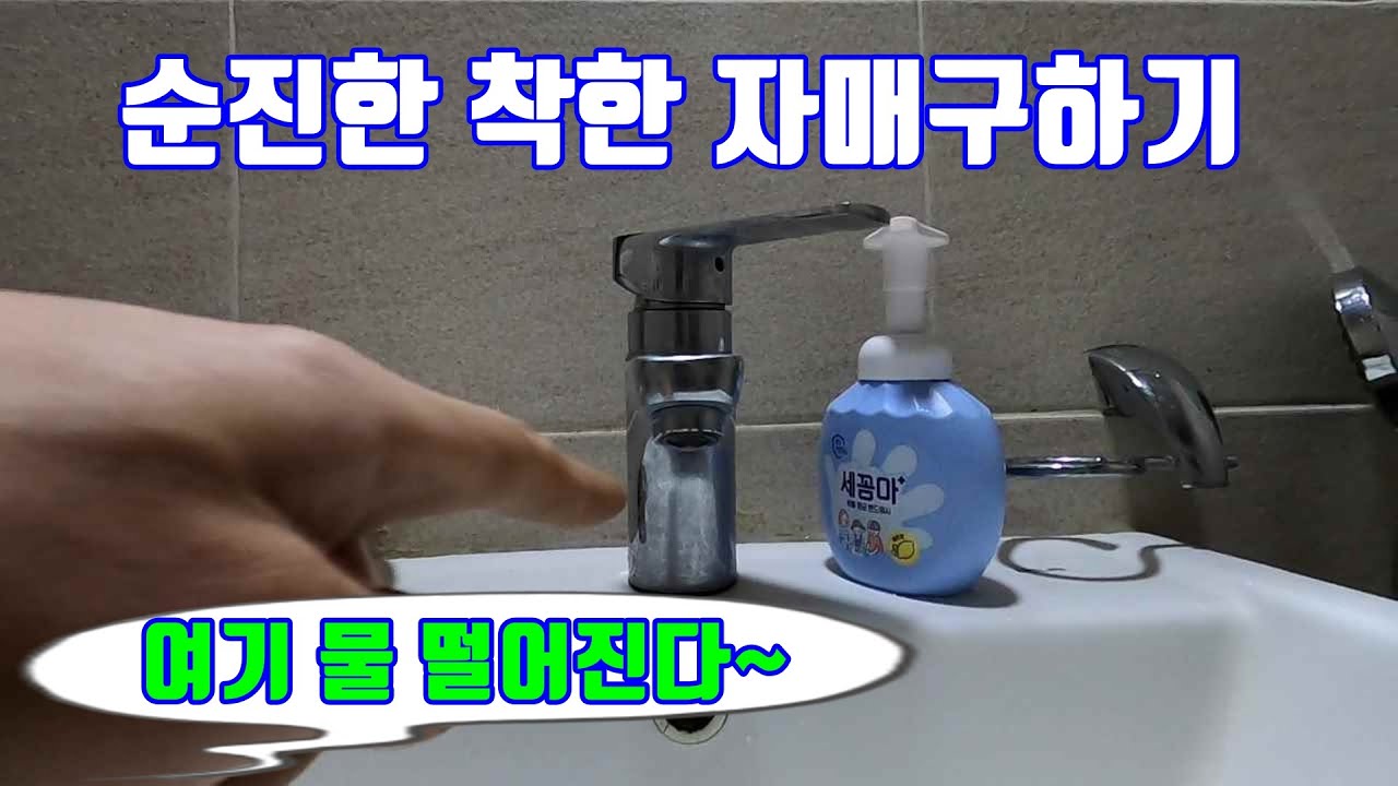 순진한 착한 자매네 집 누수