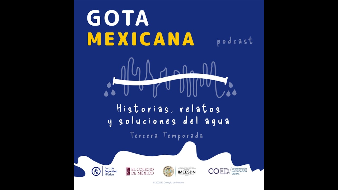 Amenazas y vulnerabilidades h&iacute;dricas