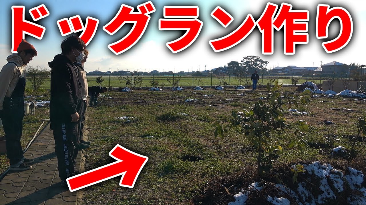 元気過ぎる犬の為にドッグランを作る！！