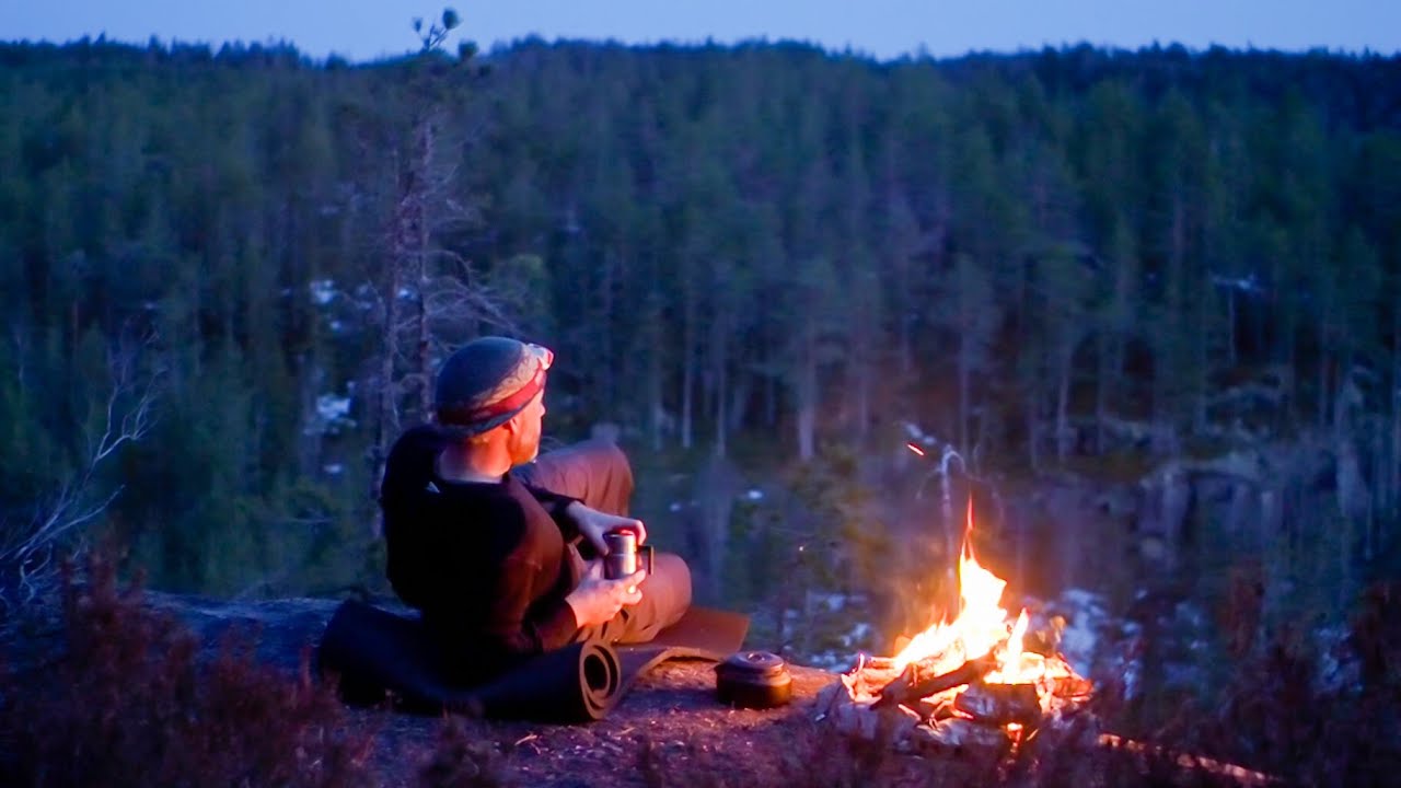 A SPRING NIGHT IN THE FOREST | A nature meditation | Norway, Telemark