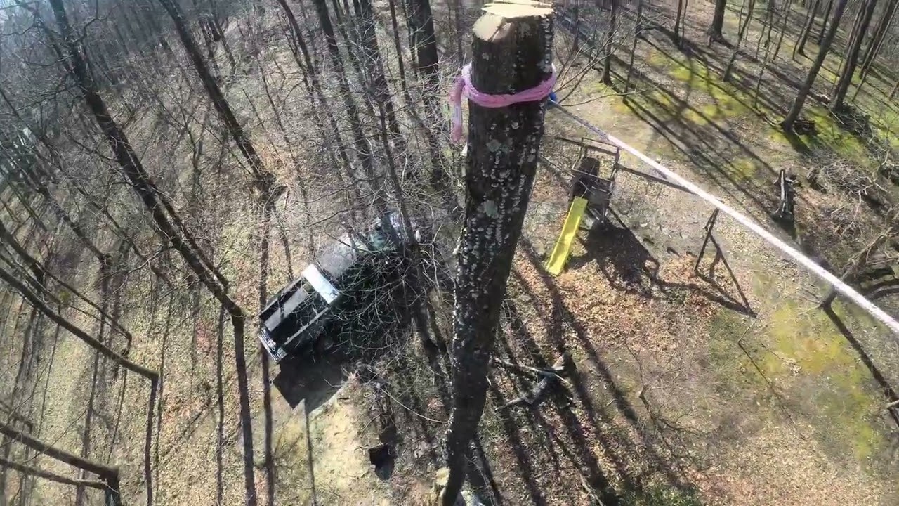 Chestnut Oak Removals in Pennsylvania! 
