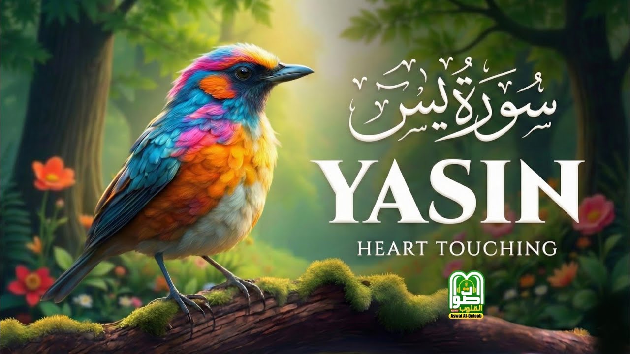 🌙 Surah Yasin سورة يس | Emotional & Soul-Healing Tilawat | A Journey to Inner Peace Aswat Al-Quloob