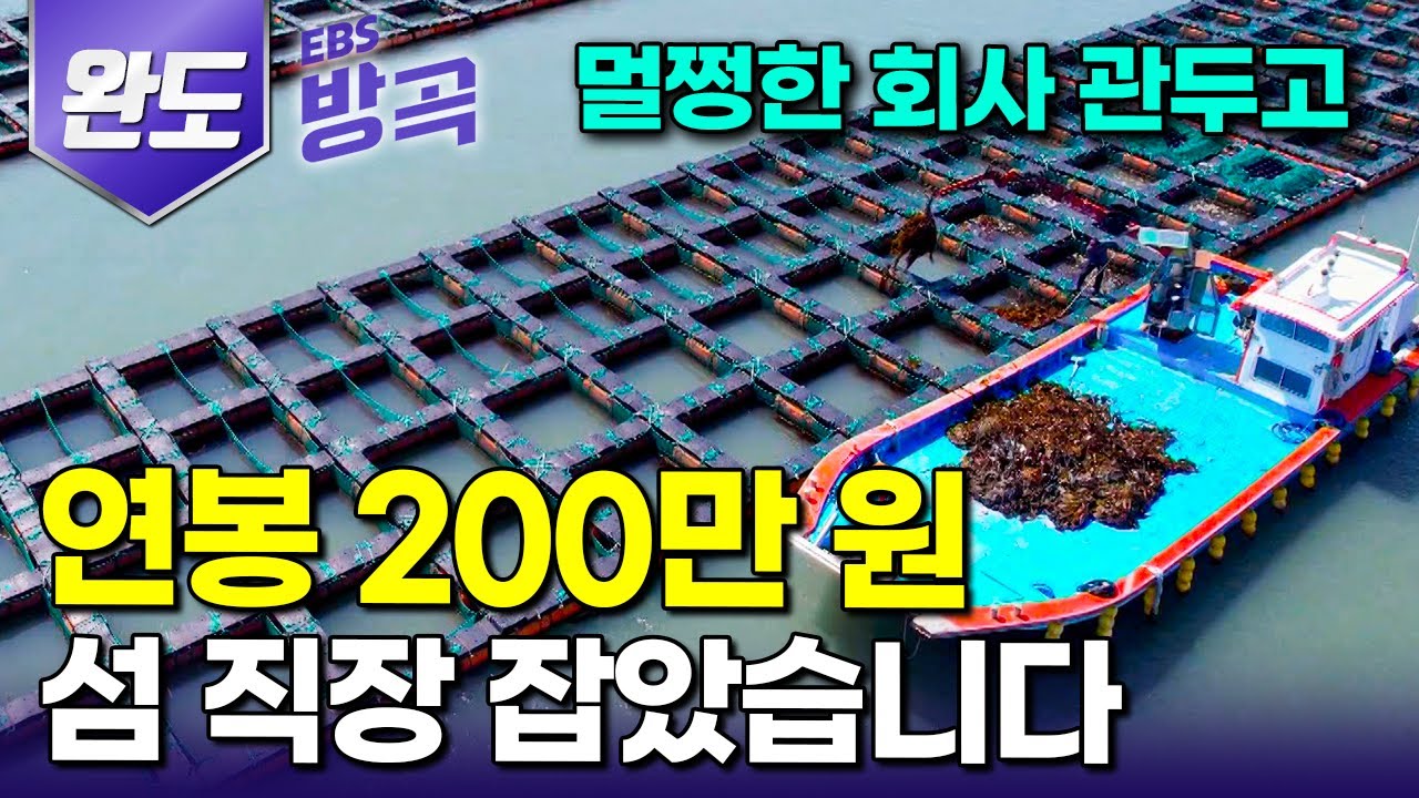 [전남 완도] 