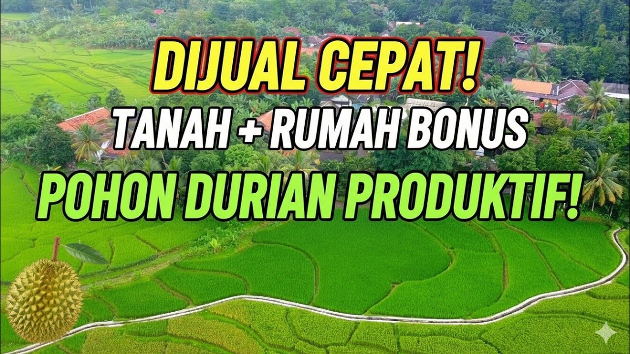 DIJUAL TANAH 550 m² + RUMAH | View Sawah | 150 Juta | Akses Mobil | Sukamakmur Bogor Timur