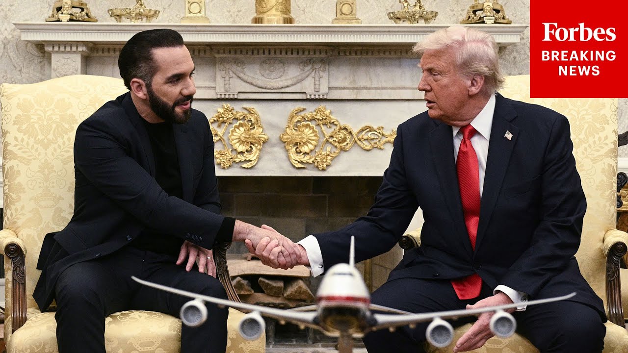 'You Have 350 Million People To Liberate': El Salvador's Bukele Pitches Tough-On-Crime Plan To Trump