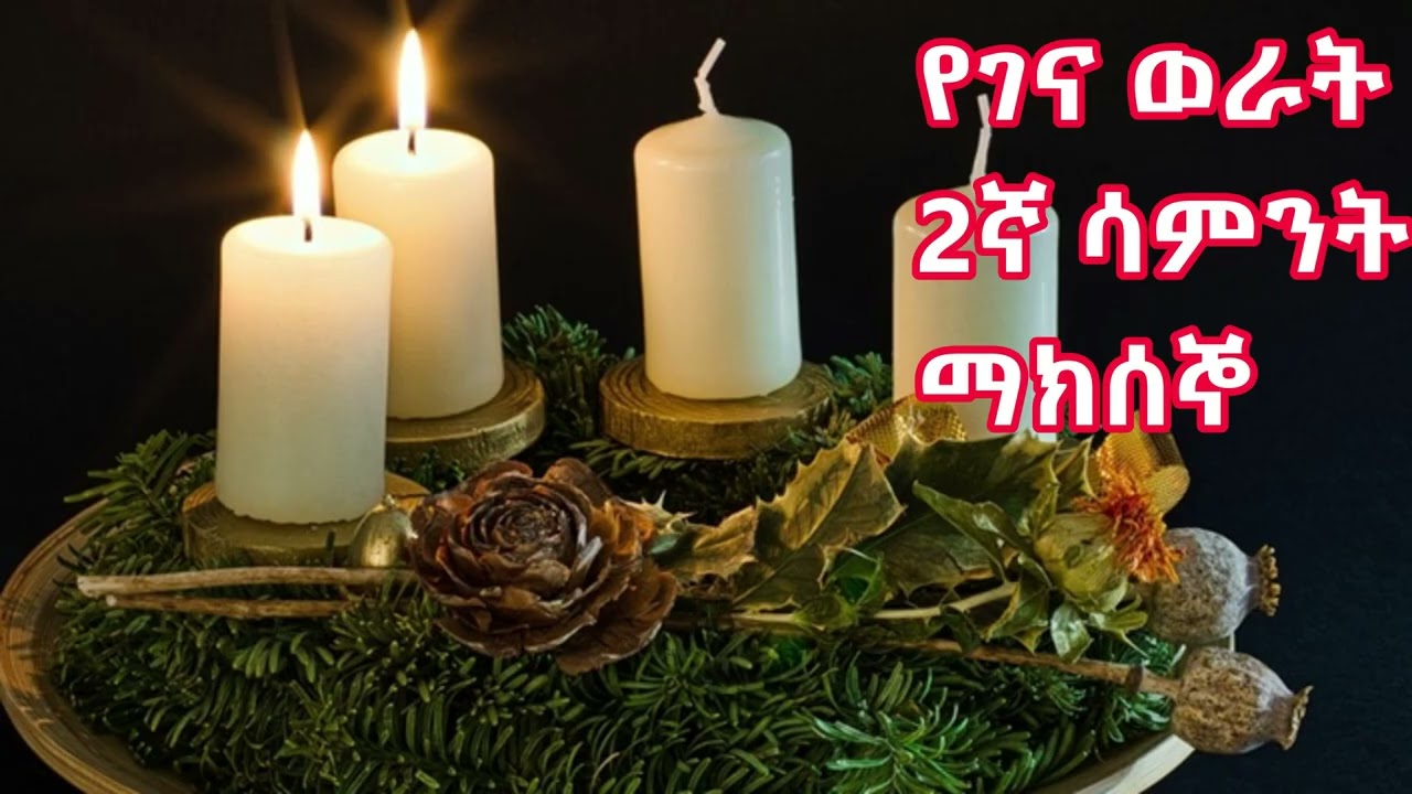 2nd week of Advent/Tuesday/Daily reading in Amharic