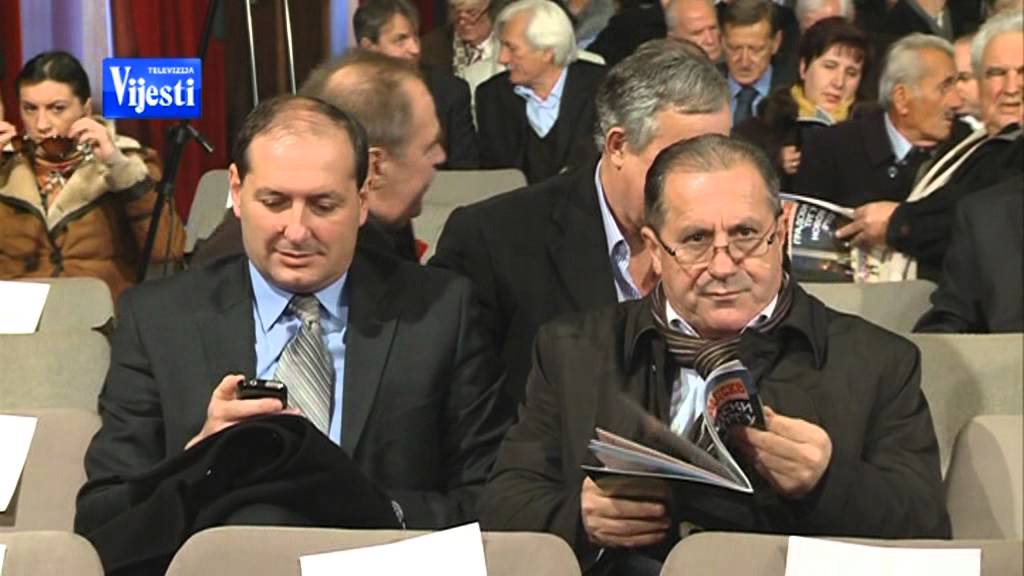DAN OPSTINE DANILOVGRAD 091213 - TV VIJESTI