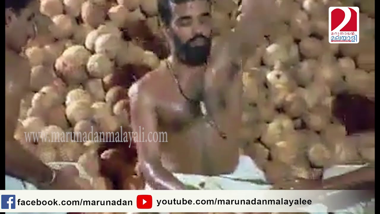 12,000 coconuts at a time I Marunadanmalayali