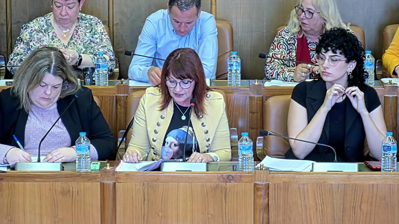 Pleno ordinario del 30 de abril de 2025