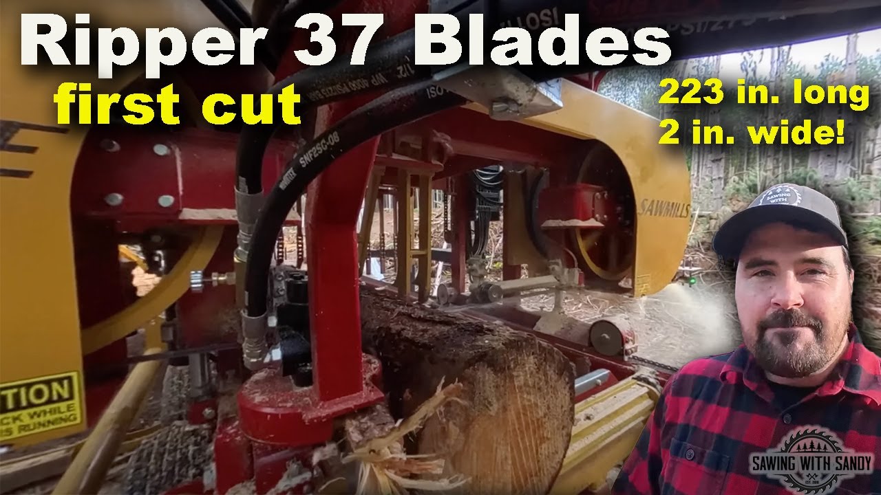 Sawing Pine with the Biggest Ripper 37 Sawmill Blades I've Ever Seen