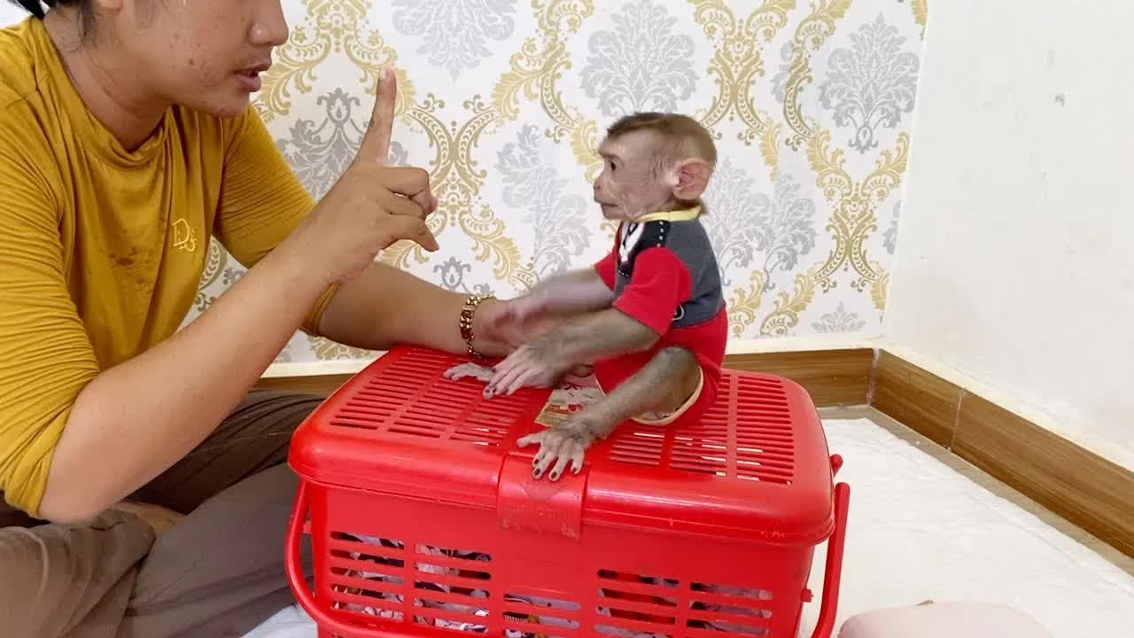 Lil DAM Quiet A While For Mom Showing Finger Sign To Stop Mess