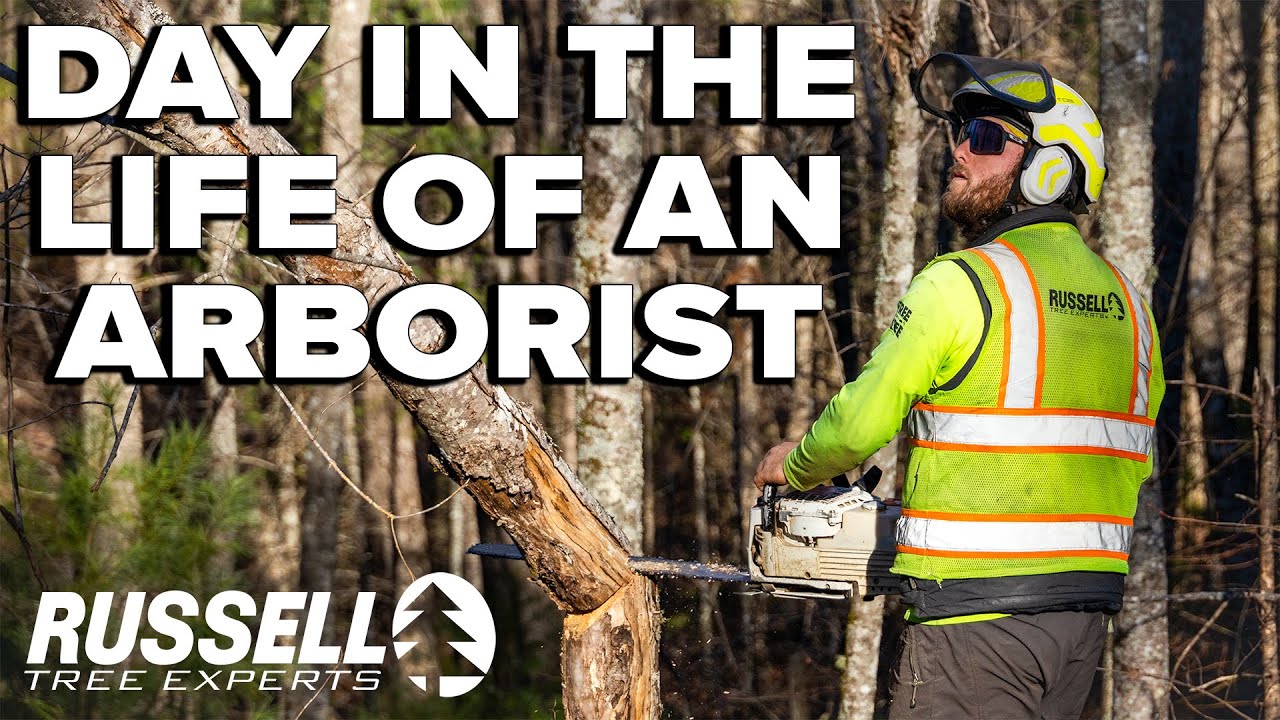 THIS is What It's Like Being an ISA Certified Arborist at a National Park