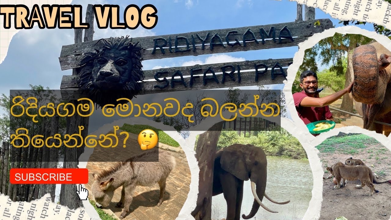නිවාඩු කාලේ රිදියගම ගිහින් මොනවද  බලන්න තියෙන්නේ? Ridiyagama safari, Sri Lanka