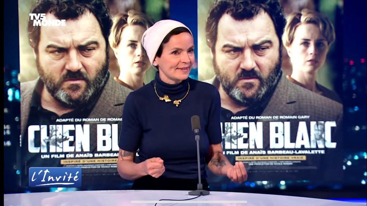 Anaïs BARBEAU-LAVALETTE : « Chien blanc » est toujours d’actualité contre le racisme «