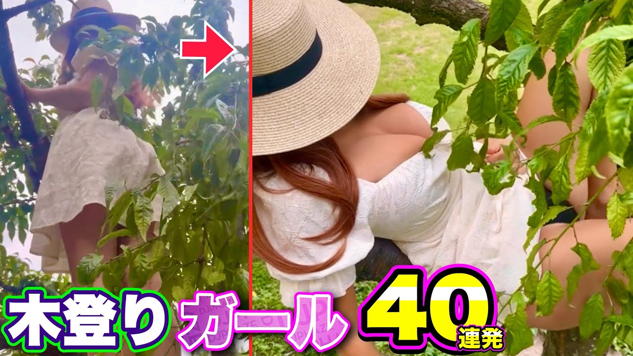 【木登りハプニング】美しい森ガール達の「おもしろ木登り映像40連発！」| Funny Tree Climbing Compilation