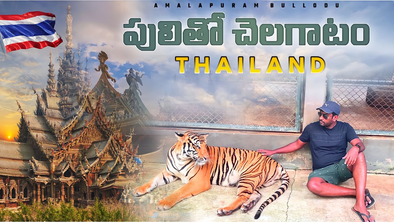 Thailand - Pattaya Full City Tour, Walking Street, Tiger Park, Sanctuary of Truth