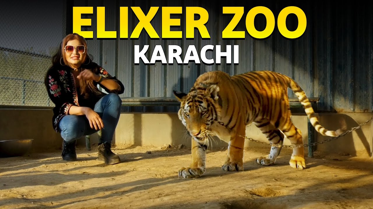 Exploring the Karachi's Hidden Wildlife Paradise | Hello Karachi | Discover Pakistan