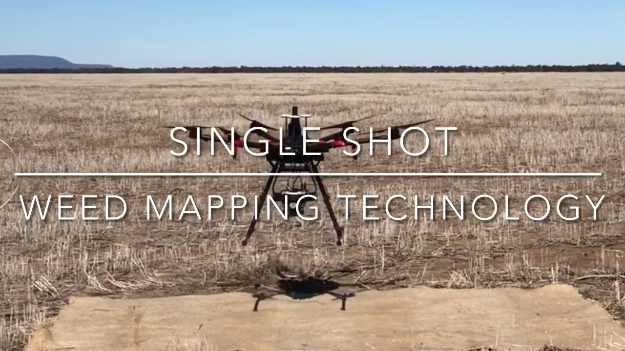 Single Shot drone based weed mapping - Farm Video