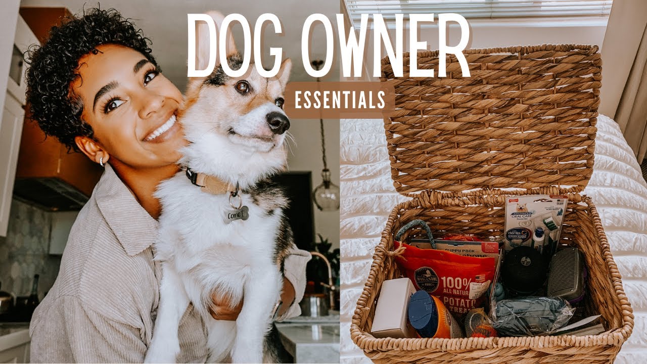 New puppy/new dog essentials | Products that you NEED when bringing home a new puppy or new dog🐶
