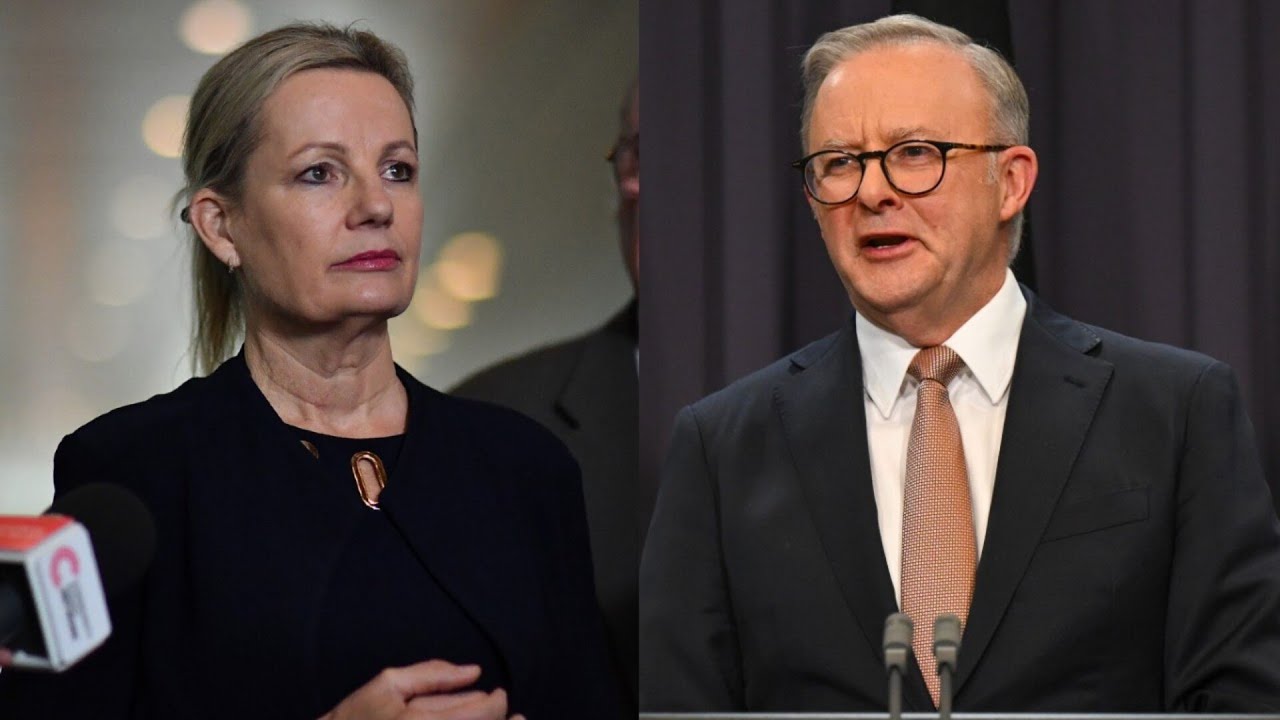 &lsquo;A gift for Anthony Albanese&rsquo;: Liberal leadership challenge &lsquo;inevitable&rsquo;