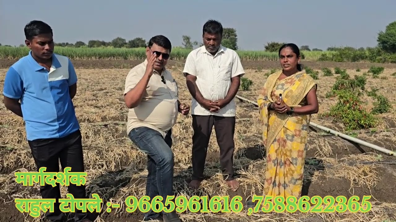 कमीखर्चात एकाच प्लॉट मध्ये आले पिकांसह सहा प्रकारच्या पिकांचे भरघोस विषमुक्त उत्पादन.Mission Organic