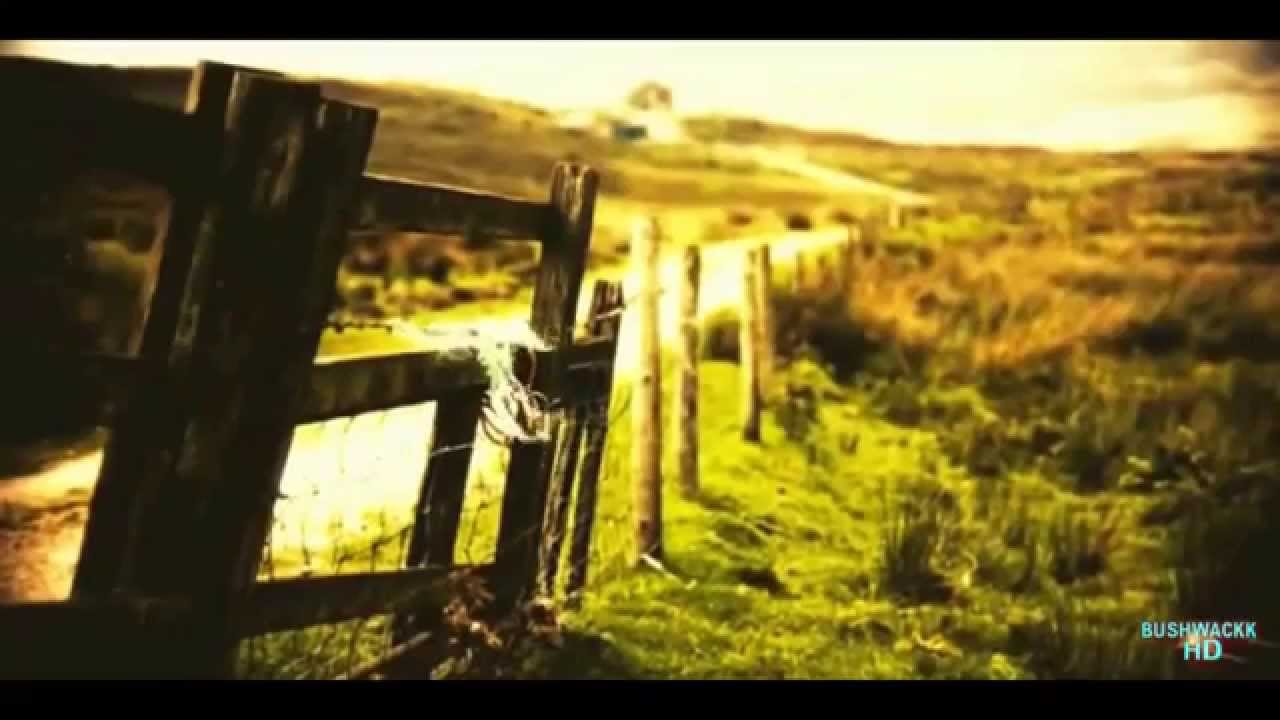 Gérard Manset - Matrice [2014] *