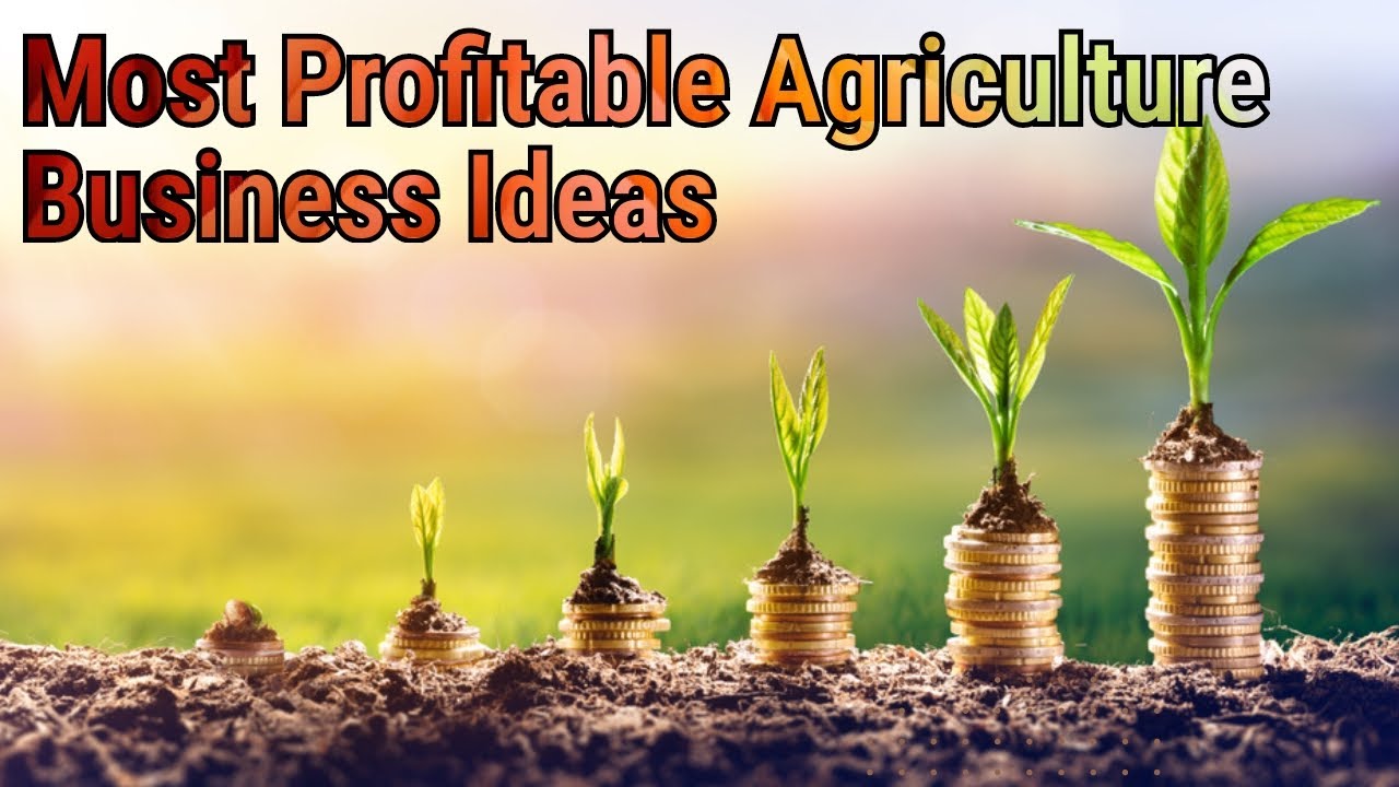 Most Profitable Agriculture Business Ideas / Agribusiness Management