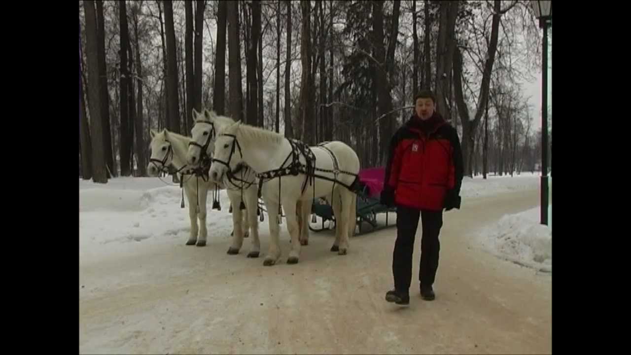 Тест-драйв 